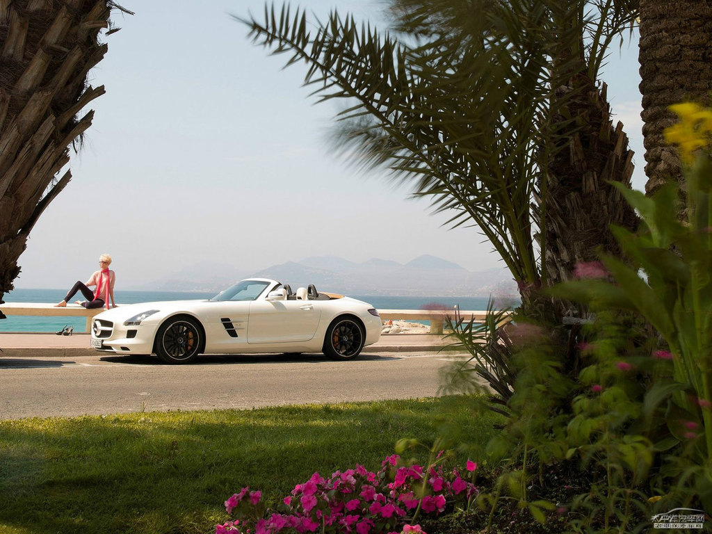 ذSLS(j)AMG܇^^DƬ