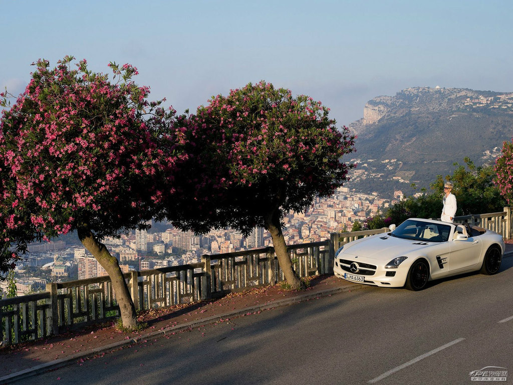 ذSLS(j)AMG܇^^DƬ