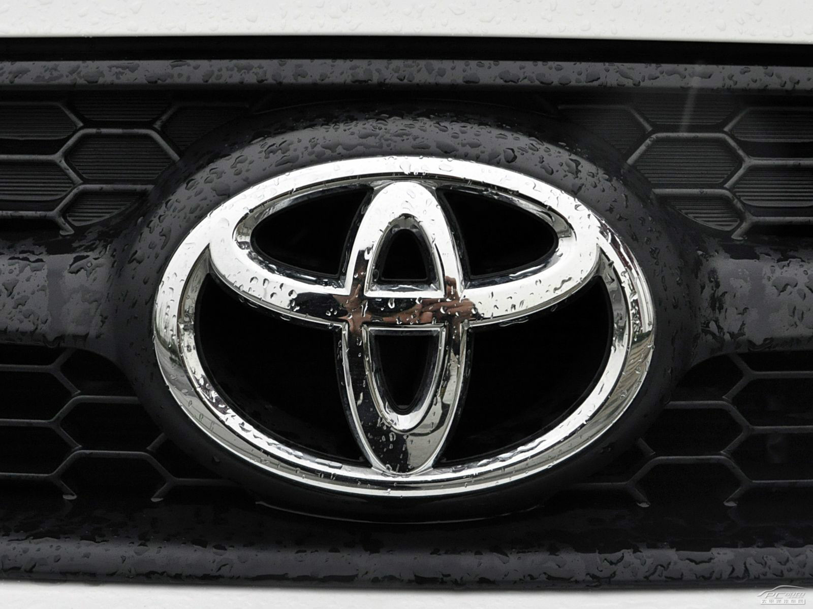 RAV4榮放外觀高清大圖