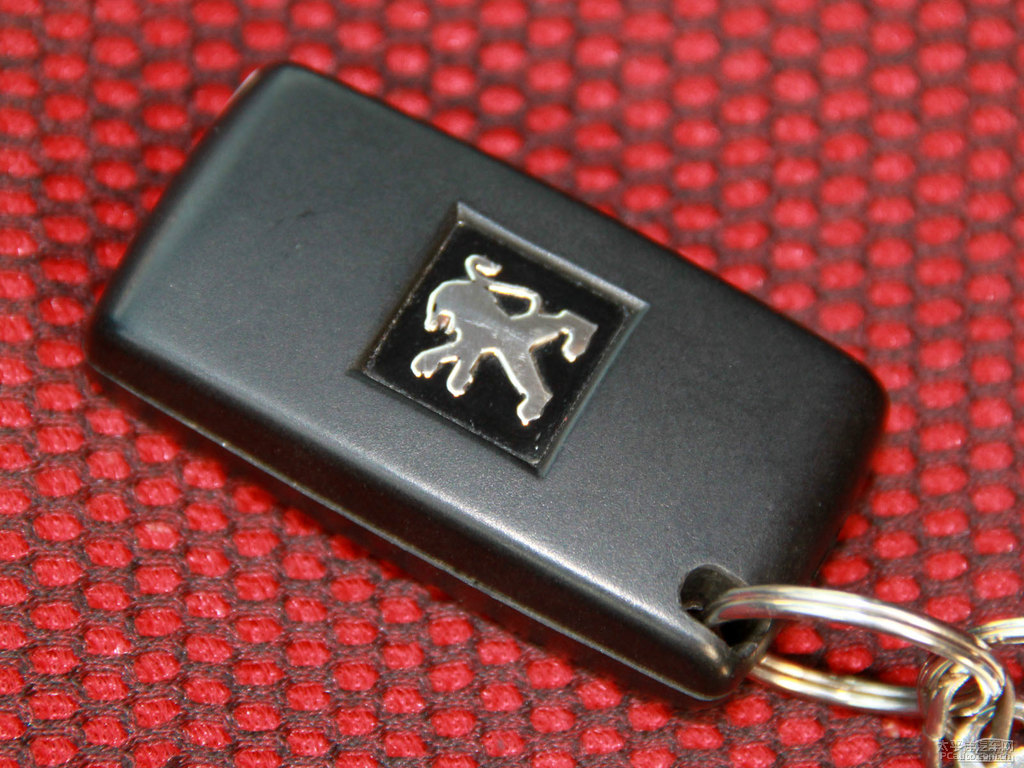 皓月灰標(biāo)致408其它細(xì)節(jié)圖片