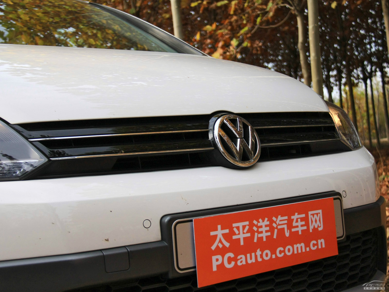 高爾夫(進口)外觀高清大圖