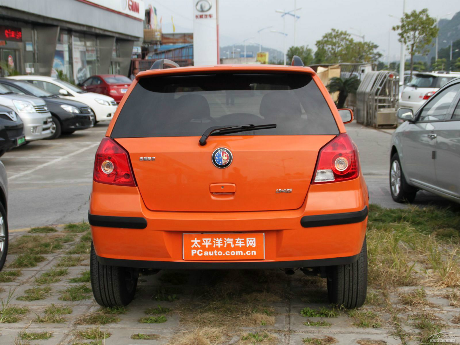 金鷹外觀高清大圖