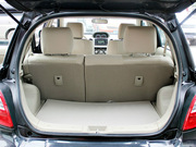 2010款 1.3L 冠軍版豪華型 2010款 1.3L 冠軍版豪華型