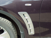 2011 FX35 (bio)(zhn)