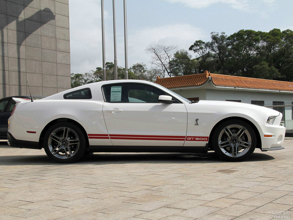 ܰ׸Mustang܇^^DƬ