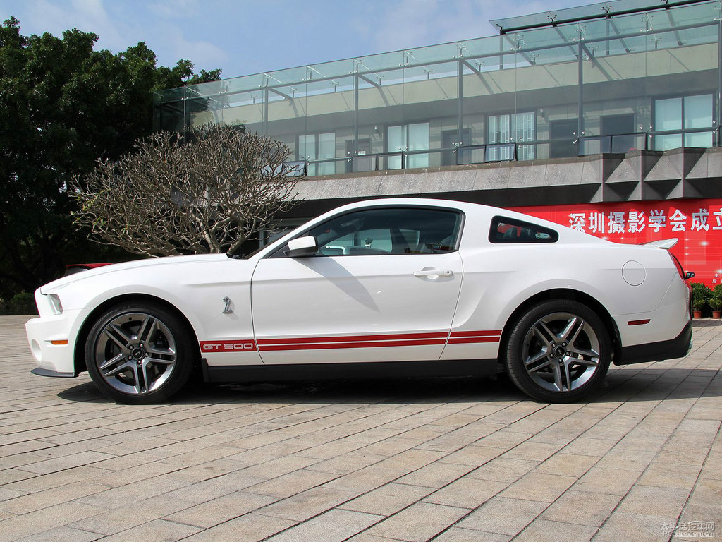 ܰ׸Mustang܇^^DƬ