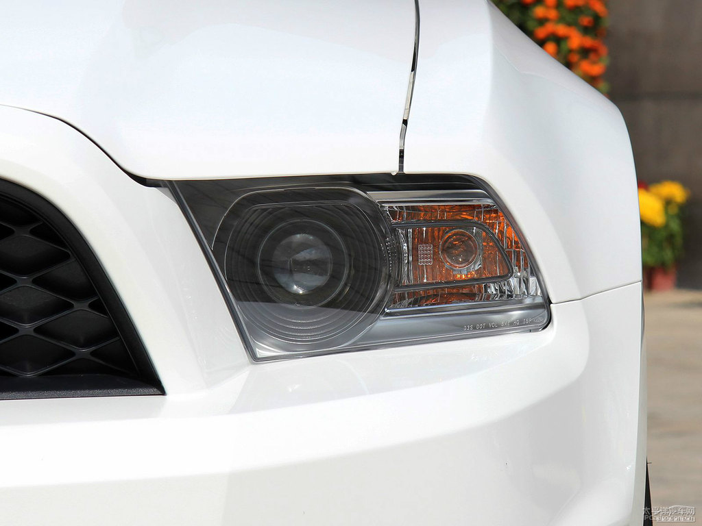 ܰ׸Mustang܇^^DƬ