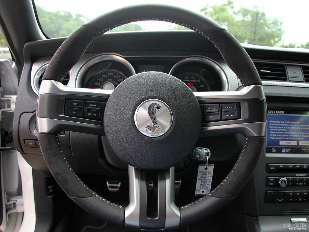ܰ׸Mustangп؃(ni)DƬ