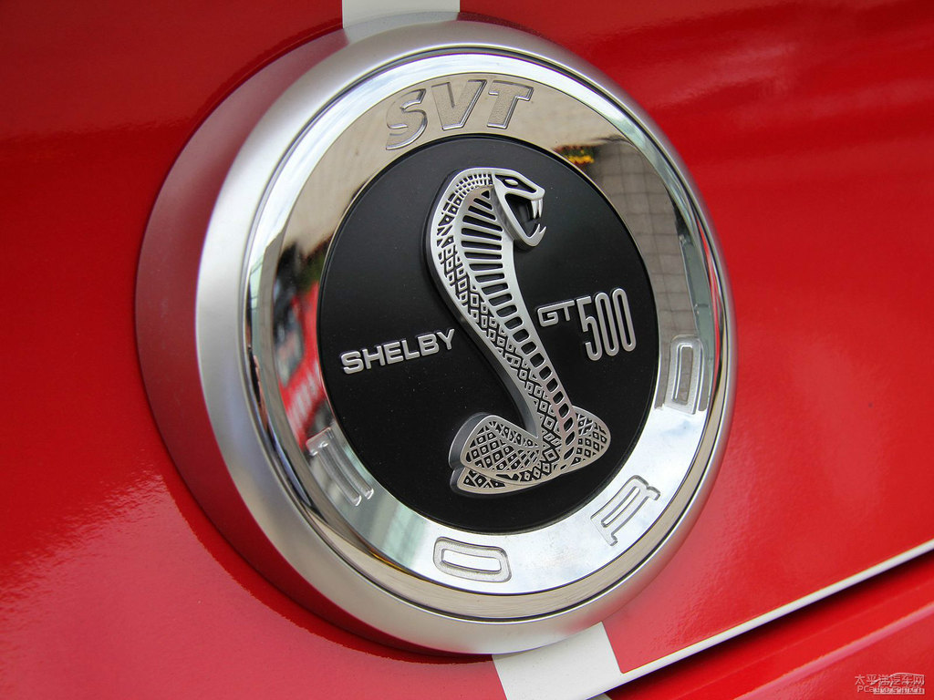 ܰ׸Mustang(x)(ji)(x)(ji)DƬ