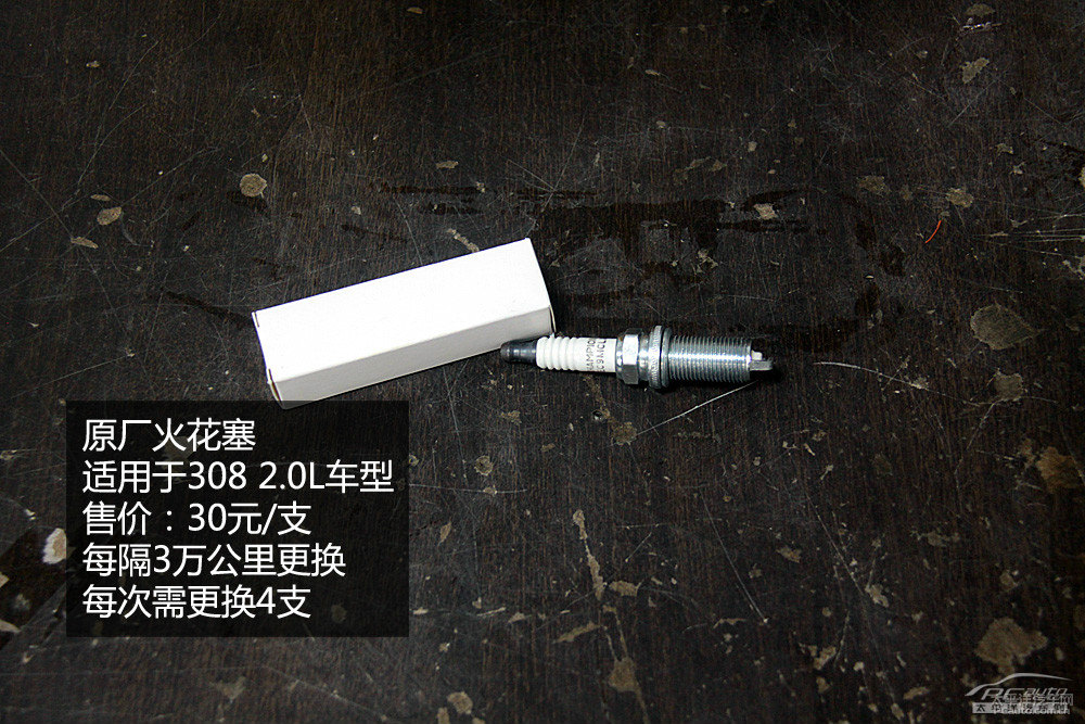 308DƬ