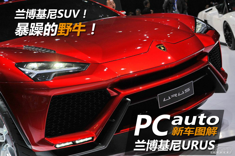 蘭博基尼Urus圖片