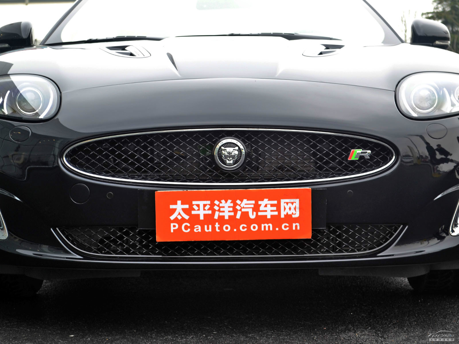 捷豹XK外觀高清大圖