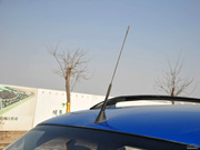 2009 ̰ 1.3L (bio)(zhn)