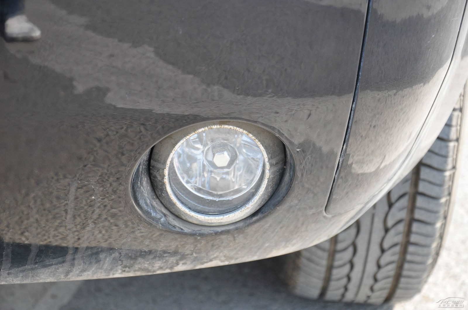 迷迪外觀高清大圖