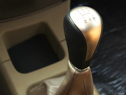 2009 2.0L (bio)(zhn)