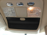 2009 2.0L (bio)(zhn)