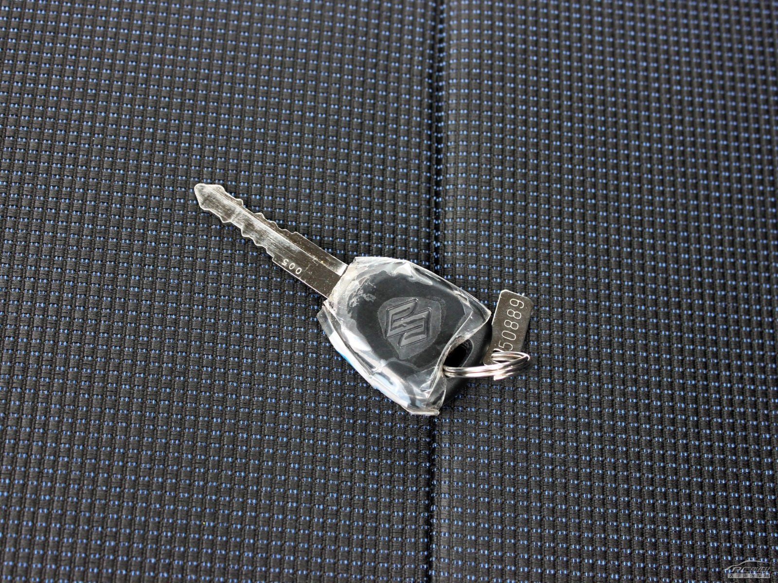 雨燕細節(jié)高清大圖