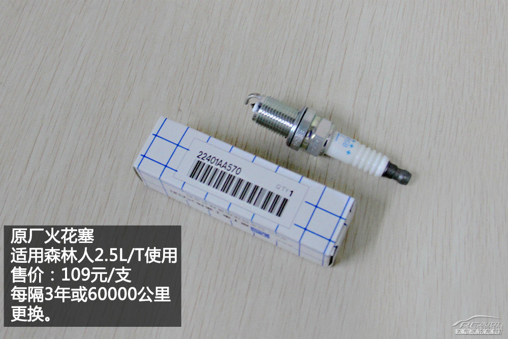 森林人圖片