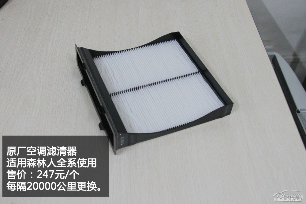 森林人圖片
