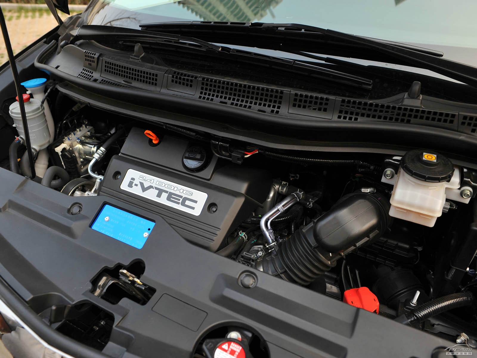 艾力紳細(xì)節(jié)高清大圖