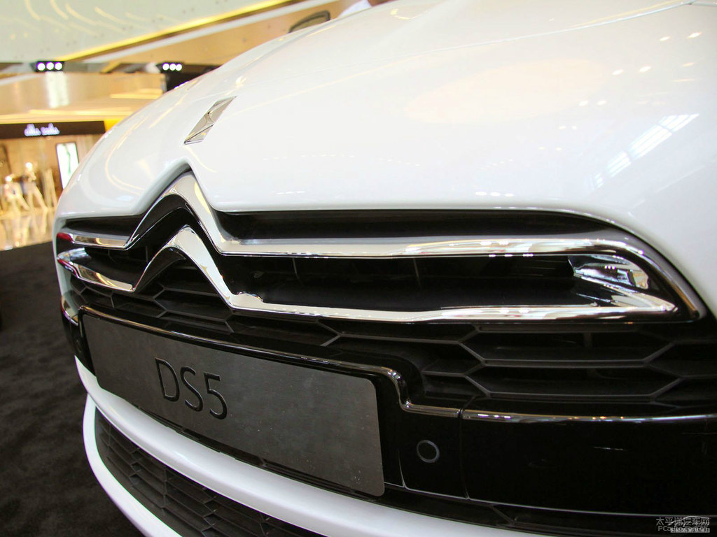 DS 5(M)܇^^DƬ