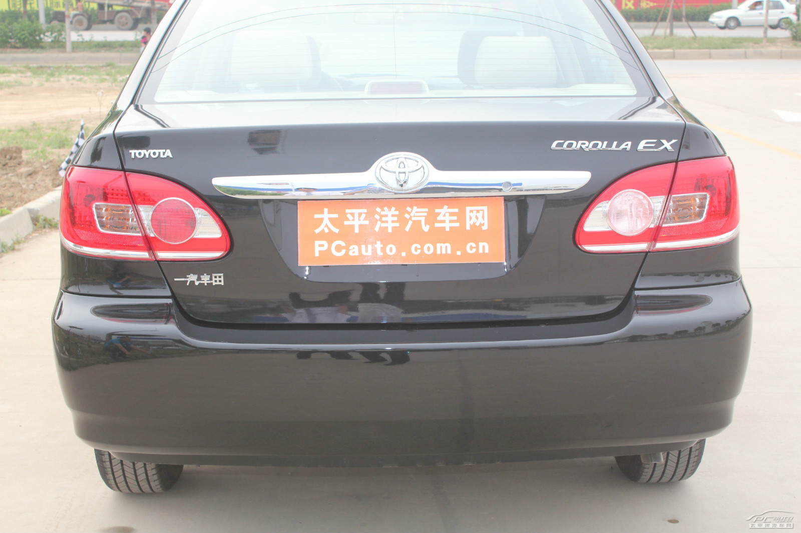花冠外觀高清大圖