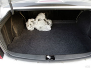 2010 I(lng) 1.3L ք(dng)m