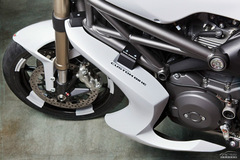 ſMonster 1100 Evo by Vilner CustomDp