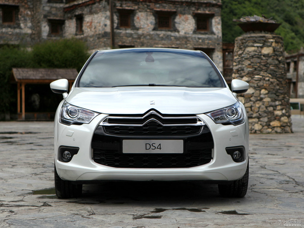 DS 4܇(ch)^^DƬ