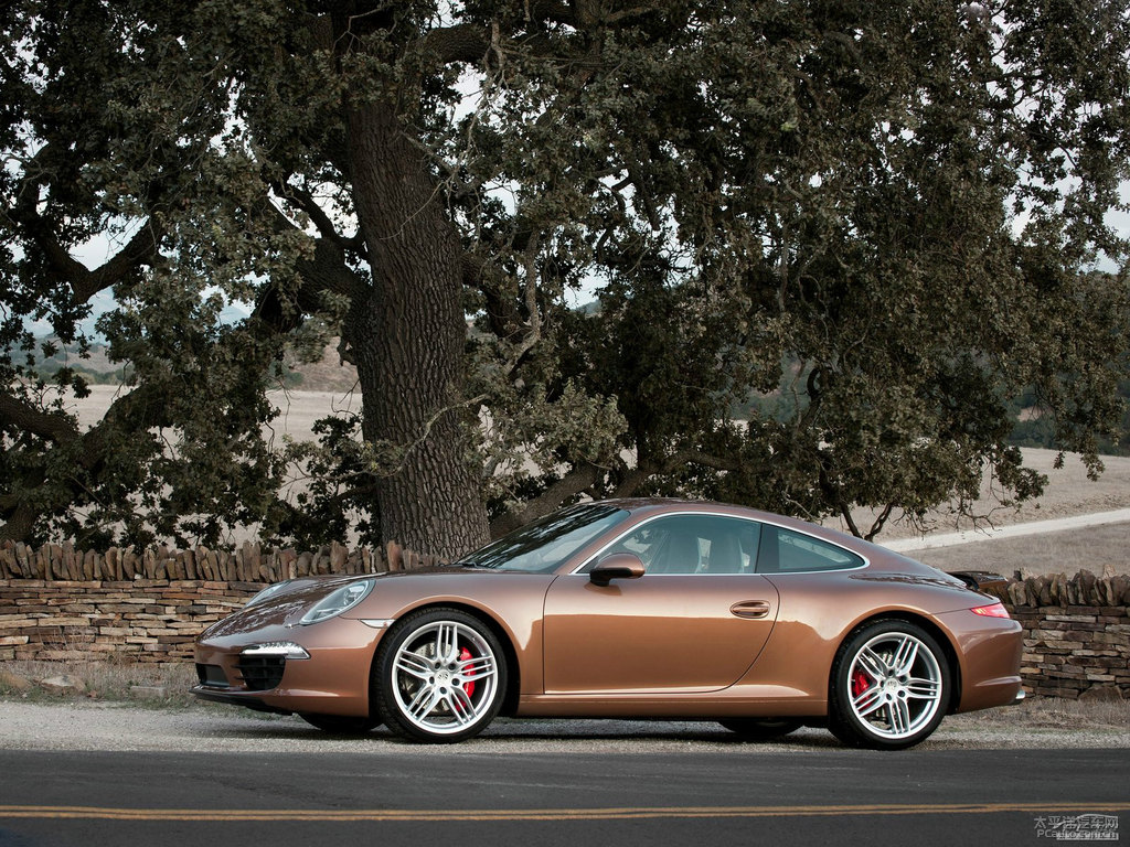 干邑色保時捷911整車外觀外觀圖片