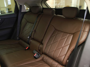 2013 FX37 (bio)(zhn)