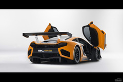 ~P12C Can-Am܇