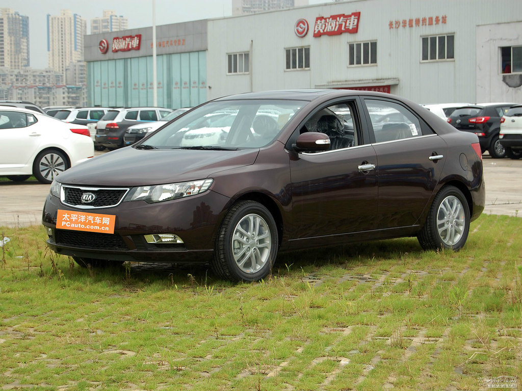 暗櫻紅福瑞迪整車外觀外觀圖片