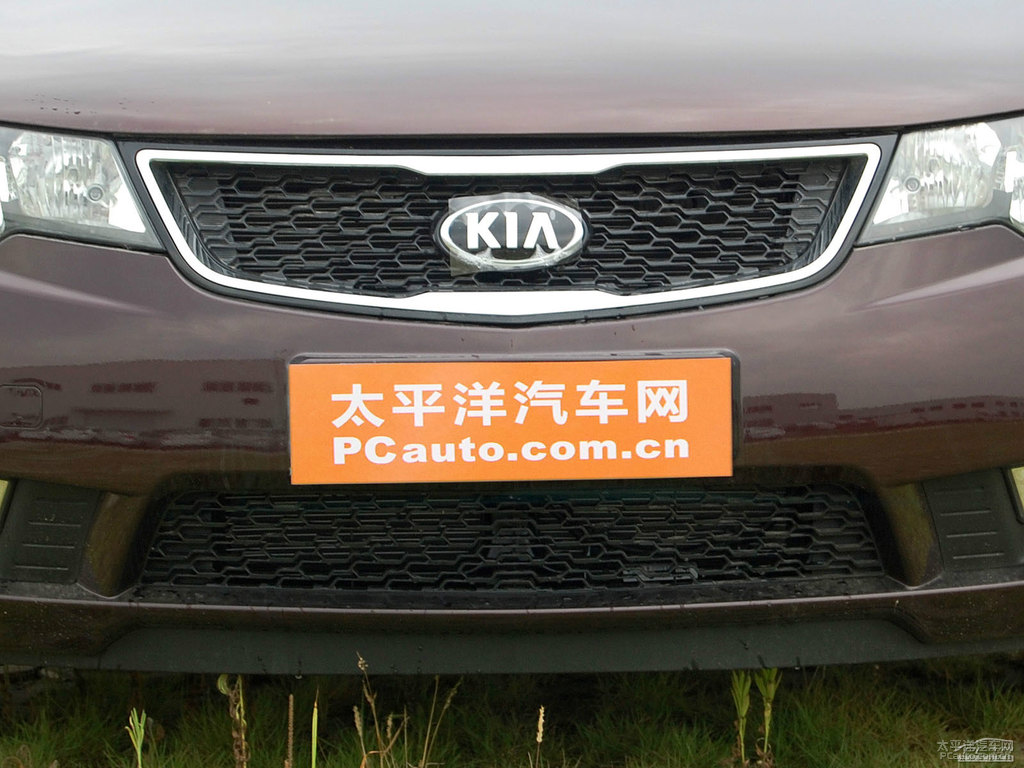 暗櫻紅福瑞迪車頭外觀圖片