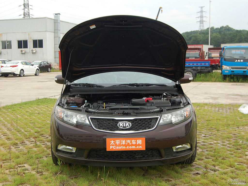 暗櫻紅福瑞迪發(fā)動(dòng)機(jī)其它細(xì)節(jié)圖片