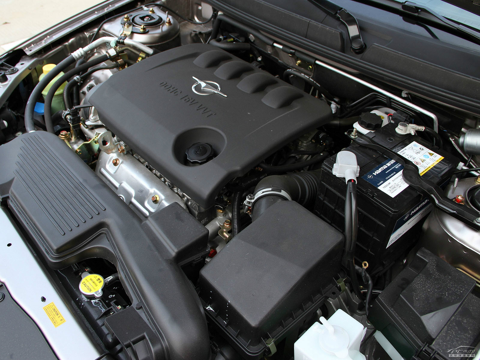 福美來細節(jié)高清大圖