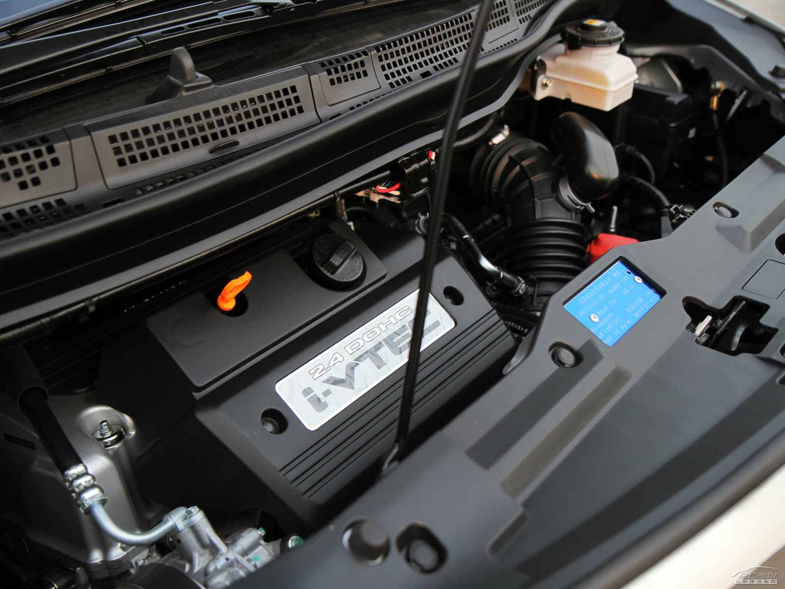 艾力紳細(xì)節(jié)高清大圖