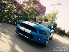 Ford Mustang Shelby GT500