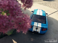 Ford Mustang Shelby GT500