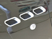 2009 GT 4.2L (bio)(zhn)