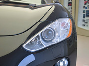 2009 GT 4.2L (bio)(zhn)