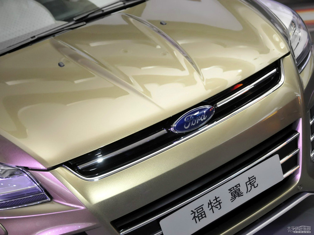 琥珀金翼虎車(chē)頭外觀圖片