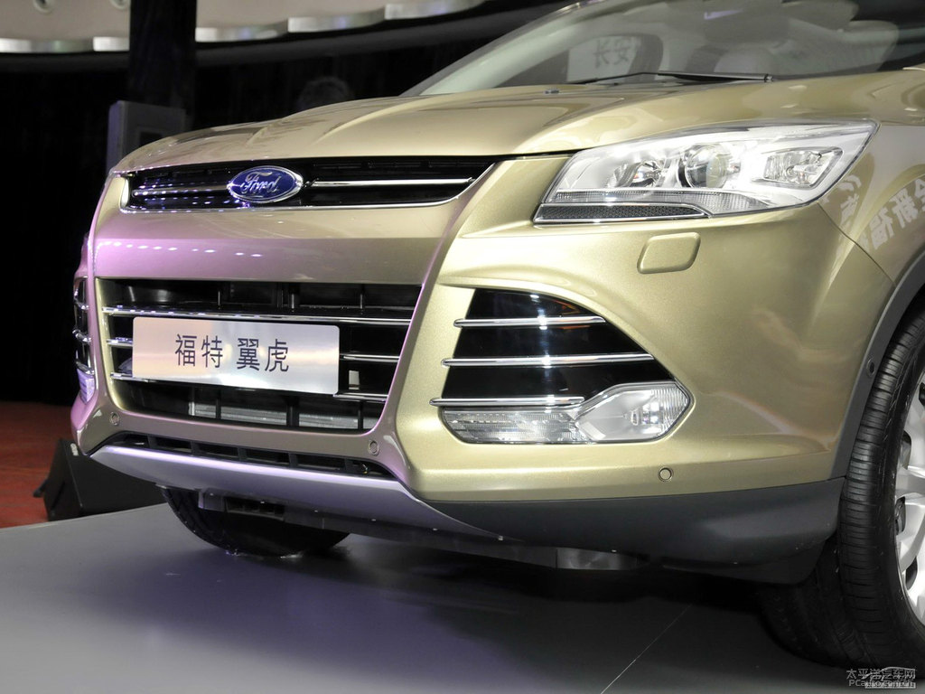 琥珀金翼虎車(chē)頭外觀圖片