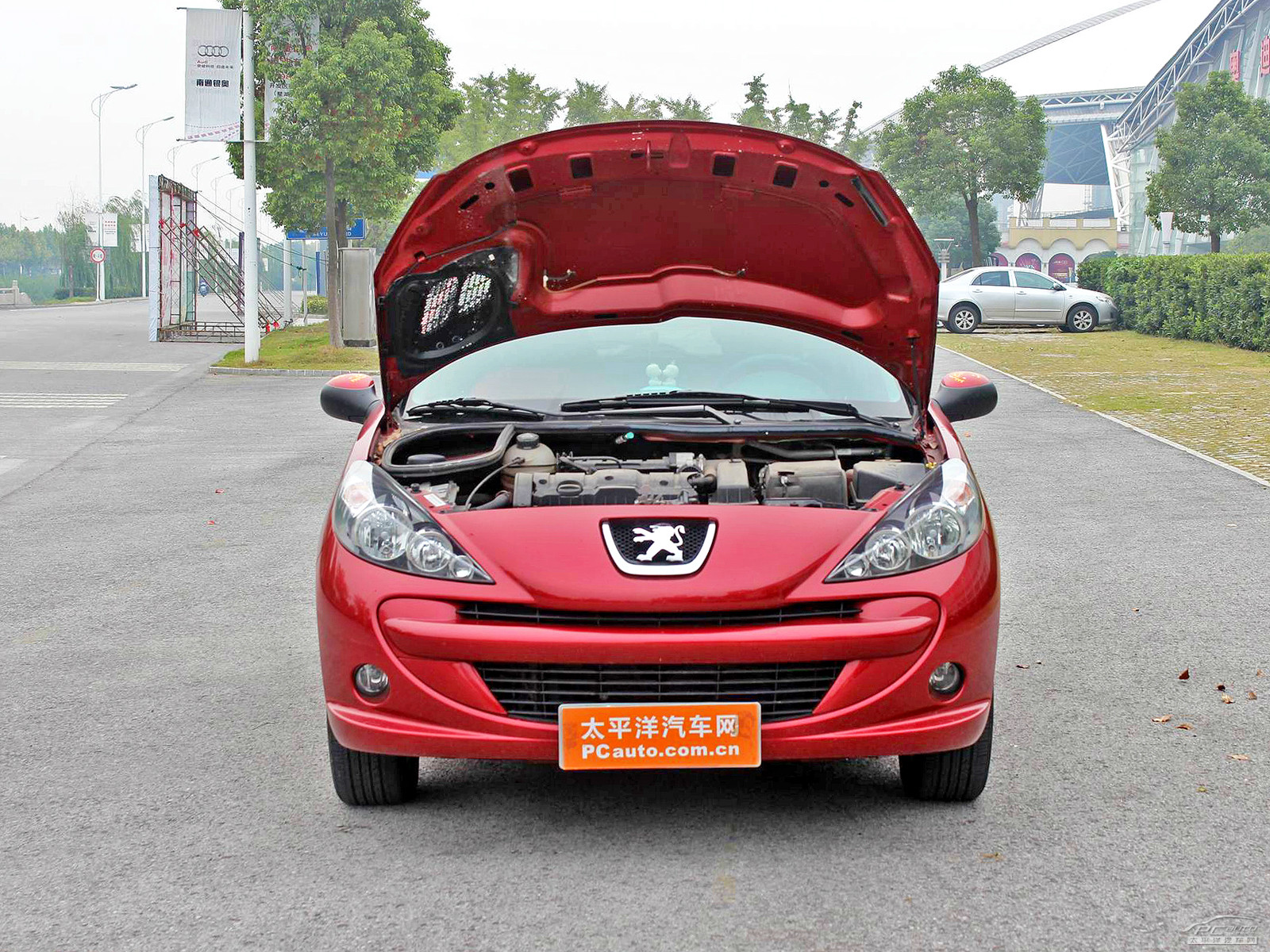 標(biāo)致207細(xì)節(jié)高清大圖