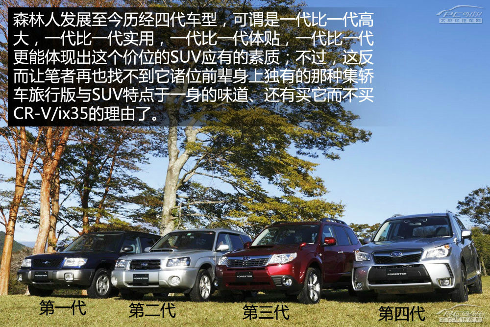 森林人圖片