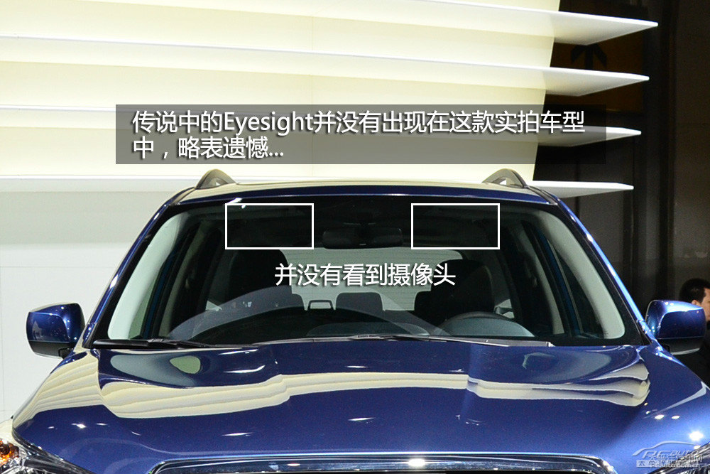 森林人圖片