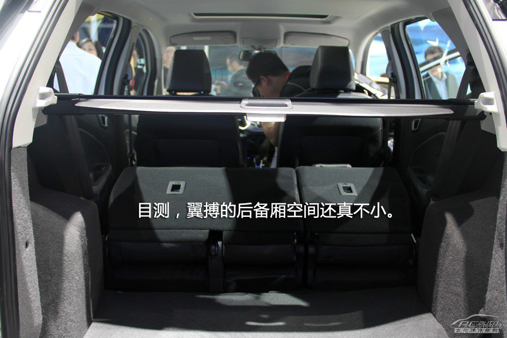 翼搏圖片