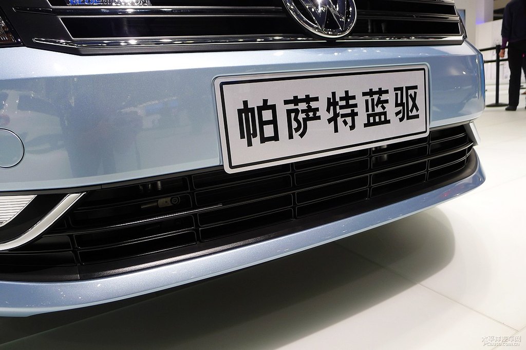 帕薩特圖片