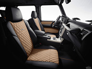 2013 AMG G 65