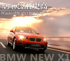 g`Ը PCautoԇ{2013RX1